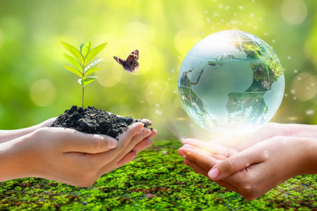 Earth-Day-Spotlight-How-WholesaleFoilPans-s-Green-Initiatives-Support-a-Better-Planet-and-Your-Business Wholesale Foil Pans
