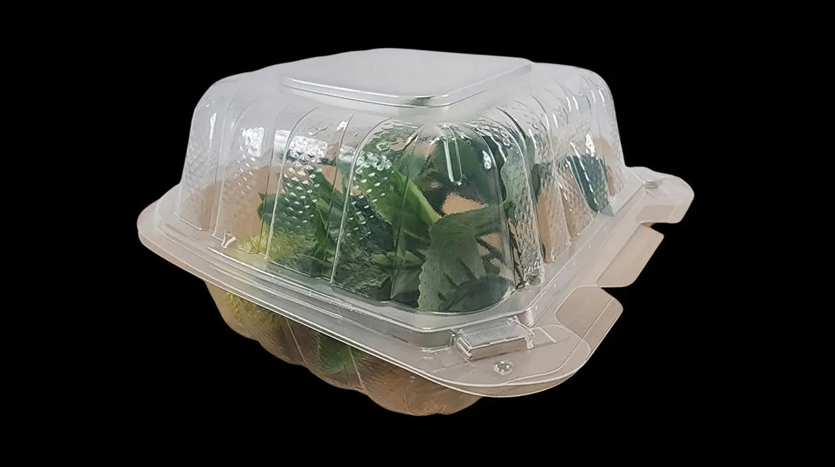 6 x 6 x 3 PP 1 Compartment Hinged Take Out Container Clear - Case of 300 Ecosystems