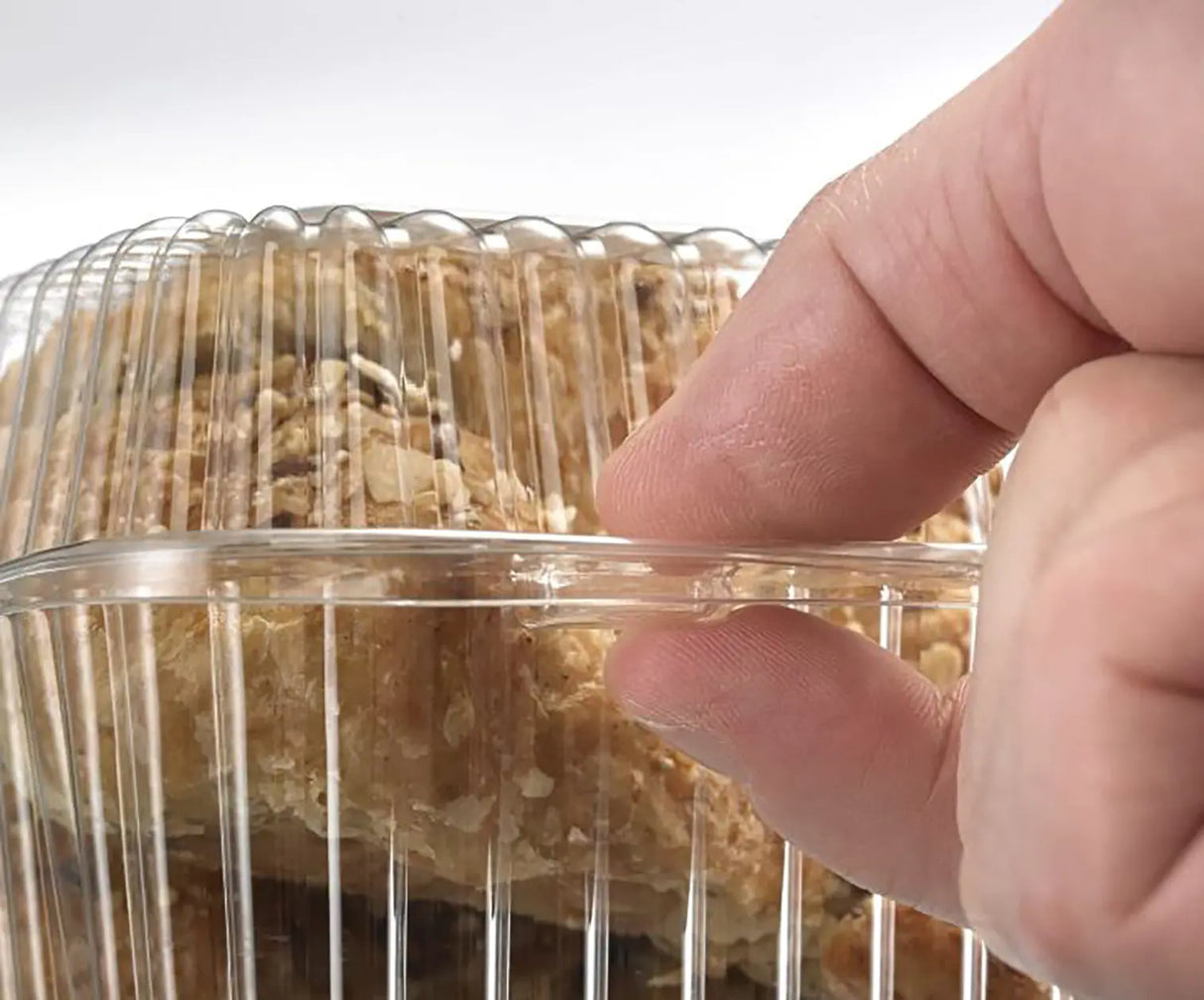 Inline Plastics 21 oz. Rectangular Clear Clamshell Container with Barlock - Case of 400 - #SLP17D Inline Plastics