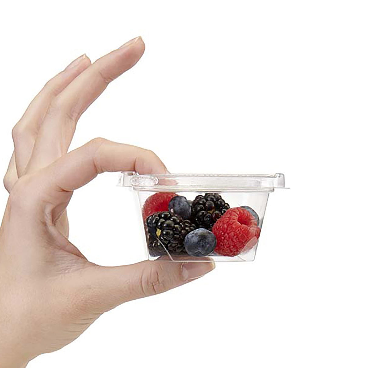 4 oz. Square Tamper Evident & Tamper Resistant Clamshell Snacker Container - Case of 312 - #TS3004 Inline Plastics