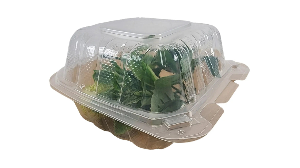 6 x 6 x 3 PP 1 Compartment Hinged Take Out Container Clear - Case of 300 Ecosystems