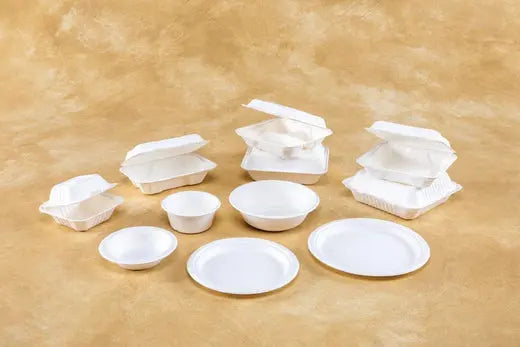 A Beginner’s Guide to Compostable Disposables: What You Need to Know ...