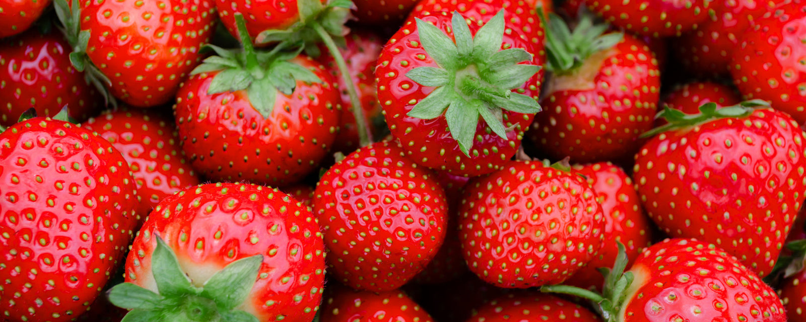 8 Fresh Strawberry Recipes Everyone Is Making This May