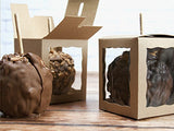 4" x 4" x 4 5/8" Candy Apple Box Brown with Window, Snap Lock Bottom- Case of 100